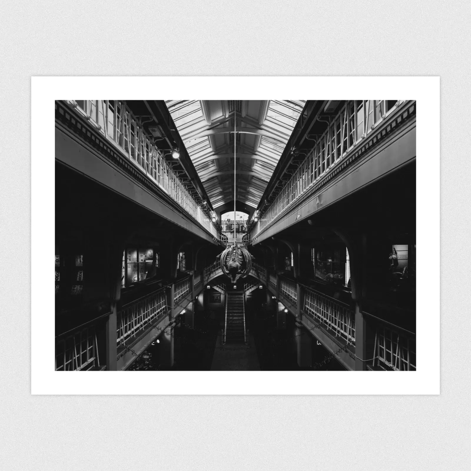 A black and white photo of the inside of a symmetrical museum with a whale skeleton hanging in the centre.